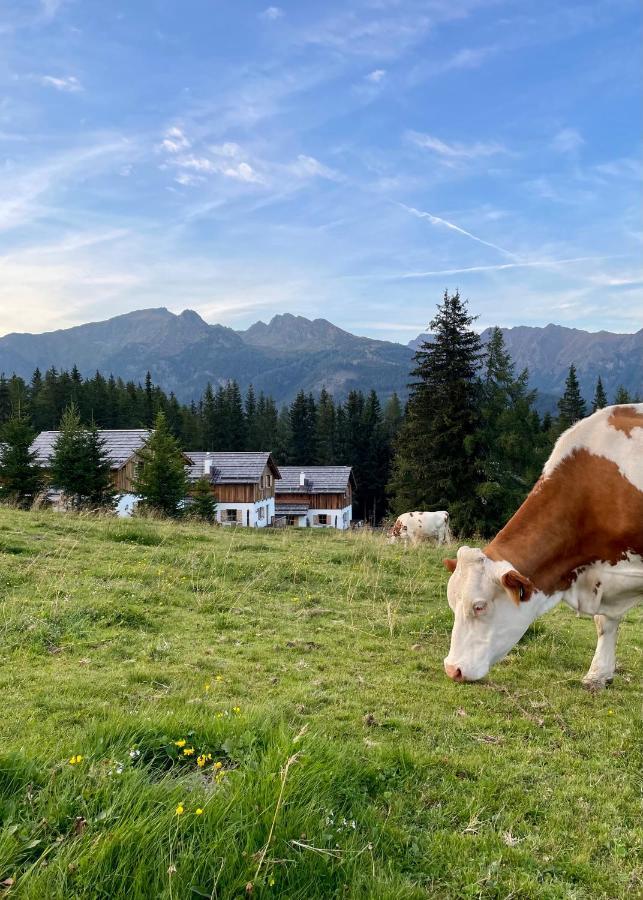 Almdorf Omlach, Fanningberg Weisspriach 외부 사진